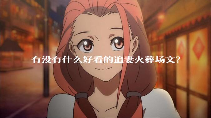 有没有什么好看的追妻火葬场文？