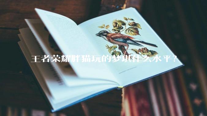 王者荣耀胖猫玩的梦琪什么水平？