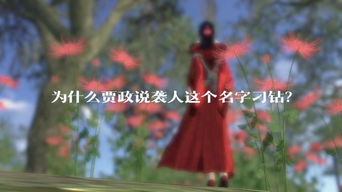 为什么贾政说袭人这个名字刁钻？