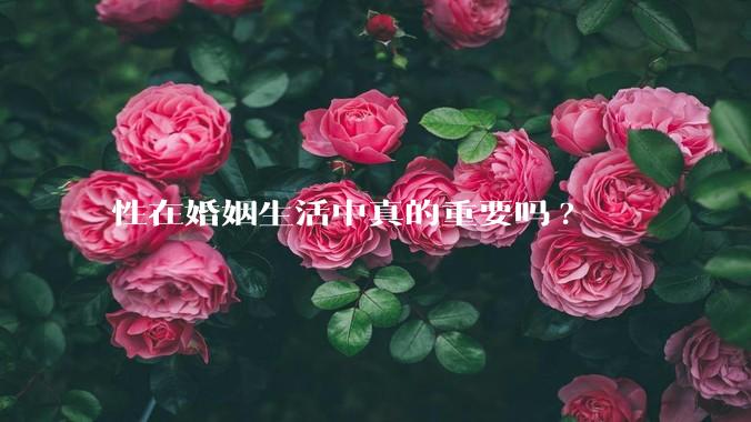 性在婚姻生活中真的重要吗?
