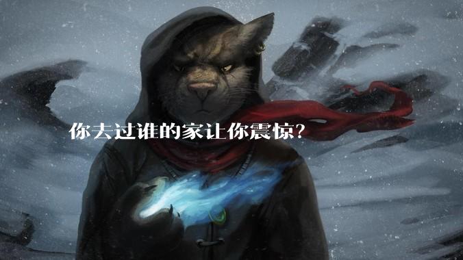 你去过谁的家让你震惊？